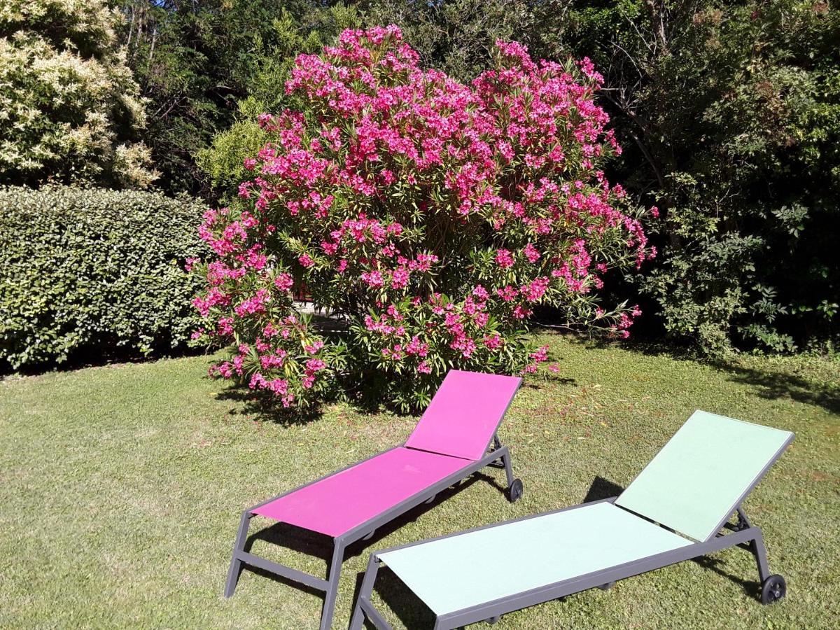 Bed and Breakfast Le Mas Du Chat Cavaillon Exterior foto
