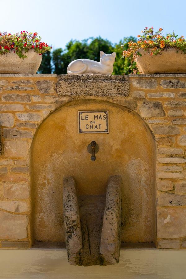 Bed and Breakfast Le Mas Du Chat Cavaillon Exterior foto