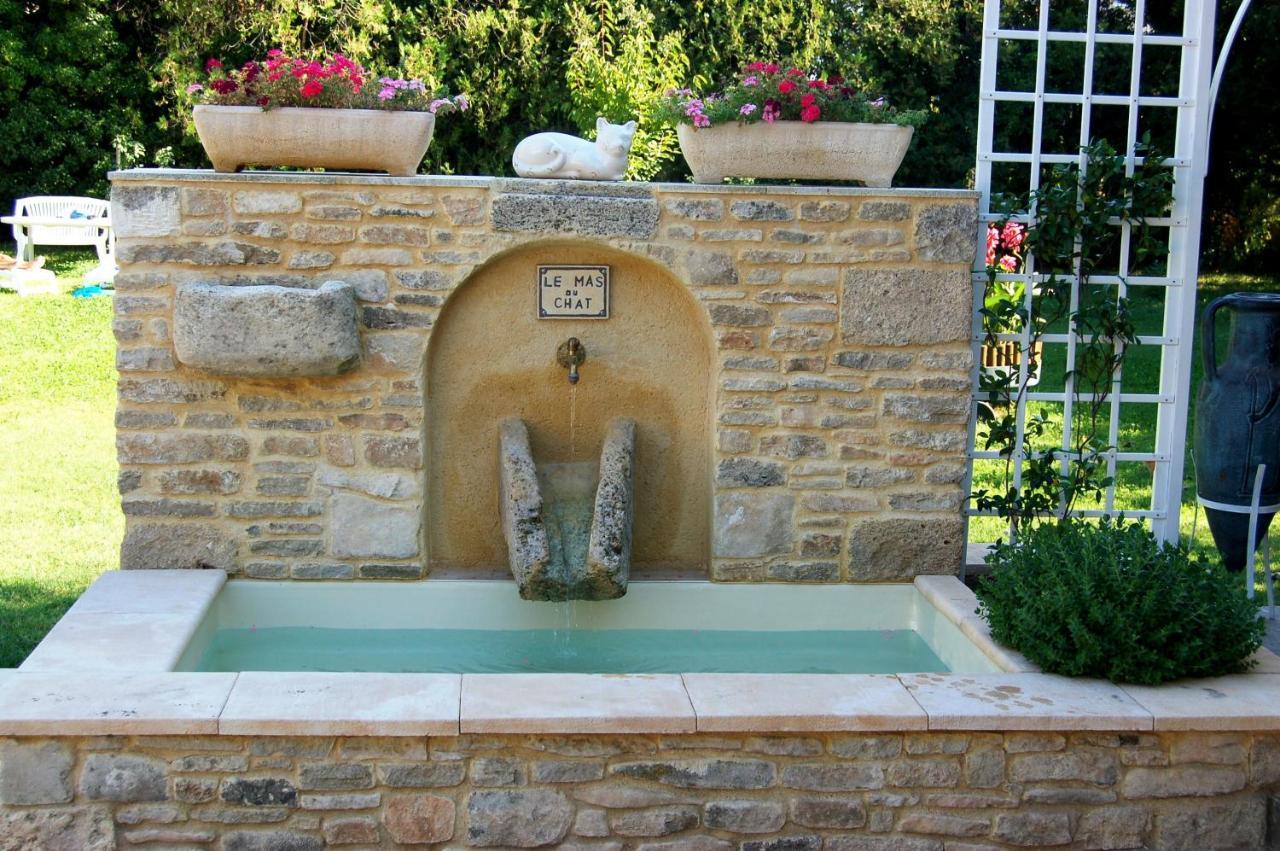 Bed and Breakfast Le Mas Du Chat Cavaillon Exterior foto